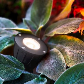 Luminius Mørkegrå Fra Lightson - En lampe med en smal lysspredning (15&deg;), der er velegnet til tr&aelig;er, hvor stammen skal fremh&aelig;ves, eller hvor man &oslash;nsker, at lyset skal n&aring; helt op til toppen, for eksempel h&oslash;je fyrretr&aelig;er og birketr&aelig;er.