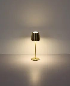 Vancouver 28cm Guld bærbar Fra Globo Lighting - Den er lavet af mat guldfarvet metal med en opal plastskærm og giver et stilfuldt og sofistikeret indtryk.
