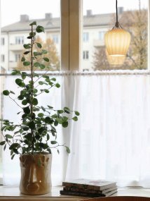 Amalfi Ø14 Abrikos vindueslampe Fra PR Home - Det riflede glas i en varm abrikosfarvet tone giver lampen et blødt og dekorativt udtryk, mens den kromfarvede detalje skaber en elegant kontrast.