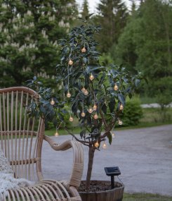 Globini Gennemsigtig solcellelampe Fra Star Trading - 