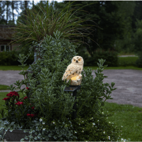 Owl Off-white solcellelampe Fra Star Trading - Soldekorationen Owl er en fantastisk og dekorativ belysning til haven.