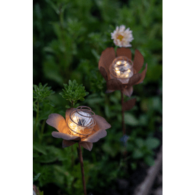 Oxida Flower 2-pk Rust solcellelampe Fra Star Trading - med to forskellige blomsterformer i rustfarvet metal, der giver et naturligt og dekorativt udtryk.