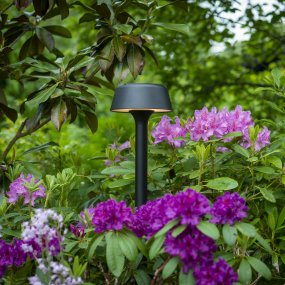 Valencia 80cm Sort pullerter Fra Dyberg Larsen - Designet er stilrent og moderne, og lyset falder i en behagelig cirkel omkring lampen, hvilket giver et stemningsfuldt indtryk.