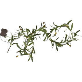 Lyskæde Olivec 1,8m Grøn Fra Star Trading - Giver en behagelig, varm hvid gl&oslash;d og er velegnet som dekoration b&aring;de indend&oslash;rs og udend&oslash;rs.