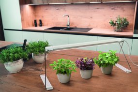 Plantebelysning Garden Light Stand Hvid Fra Ledvance - Du placerer bekvemt dine planter nedenunder og fodrer dem med et specialudviklet LED-spektrum af hvide og røde LED'er, der fremmer fotosyntesen i de fleste planter og hjælper dem med at vokse.