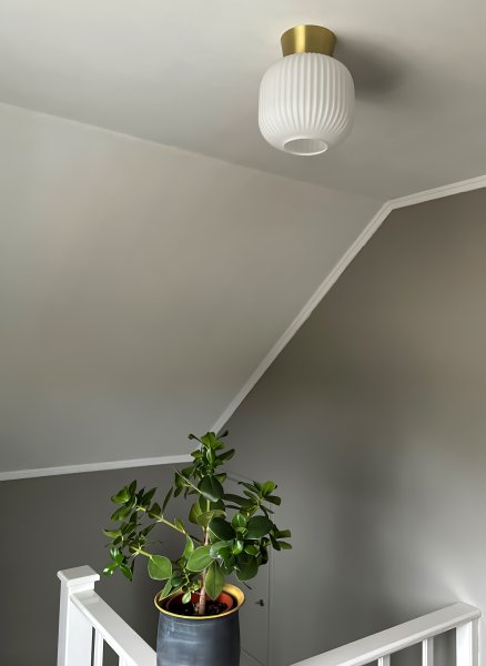 Vanja Ø20 Messing/Hvid plafond Fra Aneta Lighting - VANJA lille stilfuld loftslampe med riflet hvidt glas.