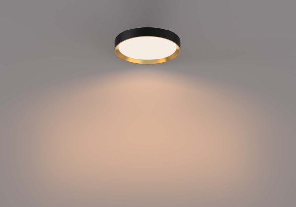 Hanno Ø38 Sort plafond Fra Philips - Philips Hanno SceneSwitch LED-loftslampen giver dig tre lysstyrkeniveauer, der er perfekte til enhver lejlighed.