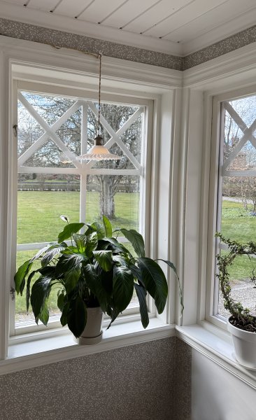 Silvia Ø22 Antik messing/hvid vindueslampe Fra Aneta Lighting - Lavet af metal i antik messingfinish og med en hvid glasskærm, der har en smukt bølget flæse i bunden.