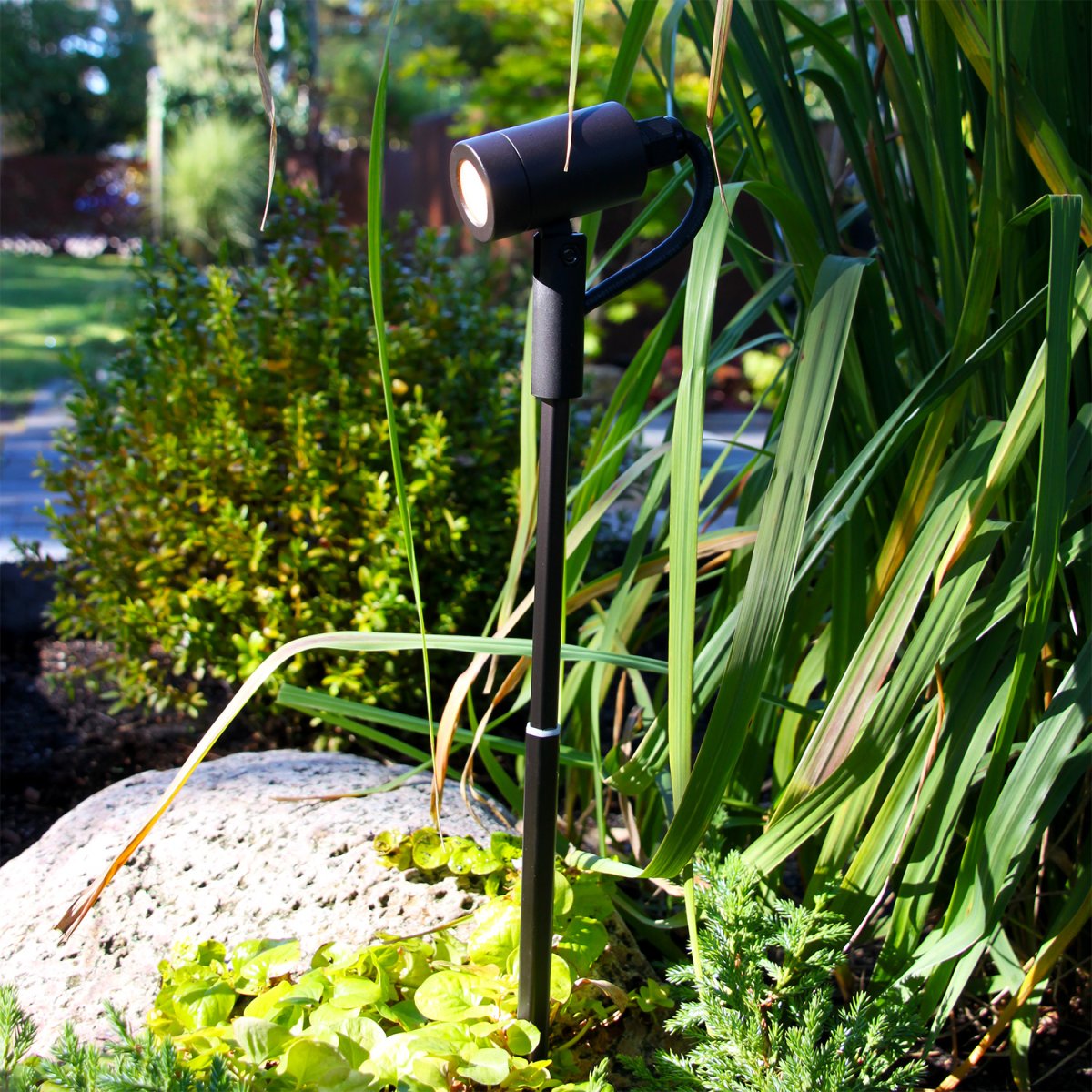 Astro Mørkegrå Fra Lightson - Lyset har en fin spredning og kan rettes både op og ned, hvilket gør at lampen er velegnet til mange forskellige typer buske og træer, men også; korridorer og stier.