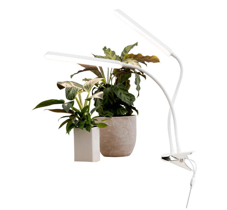 Plantebelysning Tulip Hvid Fra Airam - Armaturet har en 3-trins timer (8/12/16 timer) og touch-d&aelig;mper p&aring; de 5 trin.