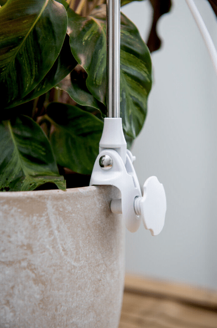 Plantebelysning Rose Hvid Fra Airam - Lyseffekten kan justeres i fem trin med lysd&aelig;mperen og med timeren kan den lyse i 8/12/16 timer.