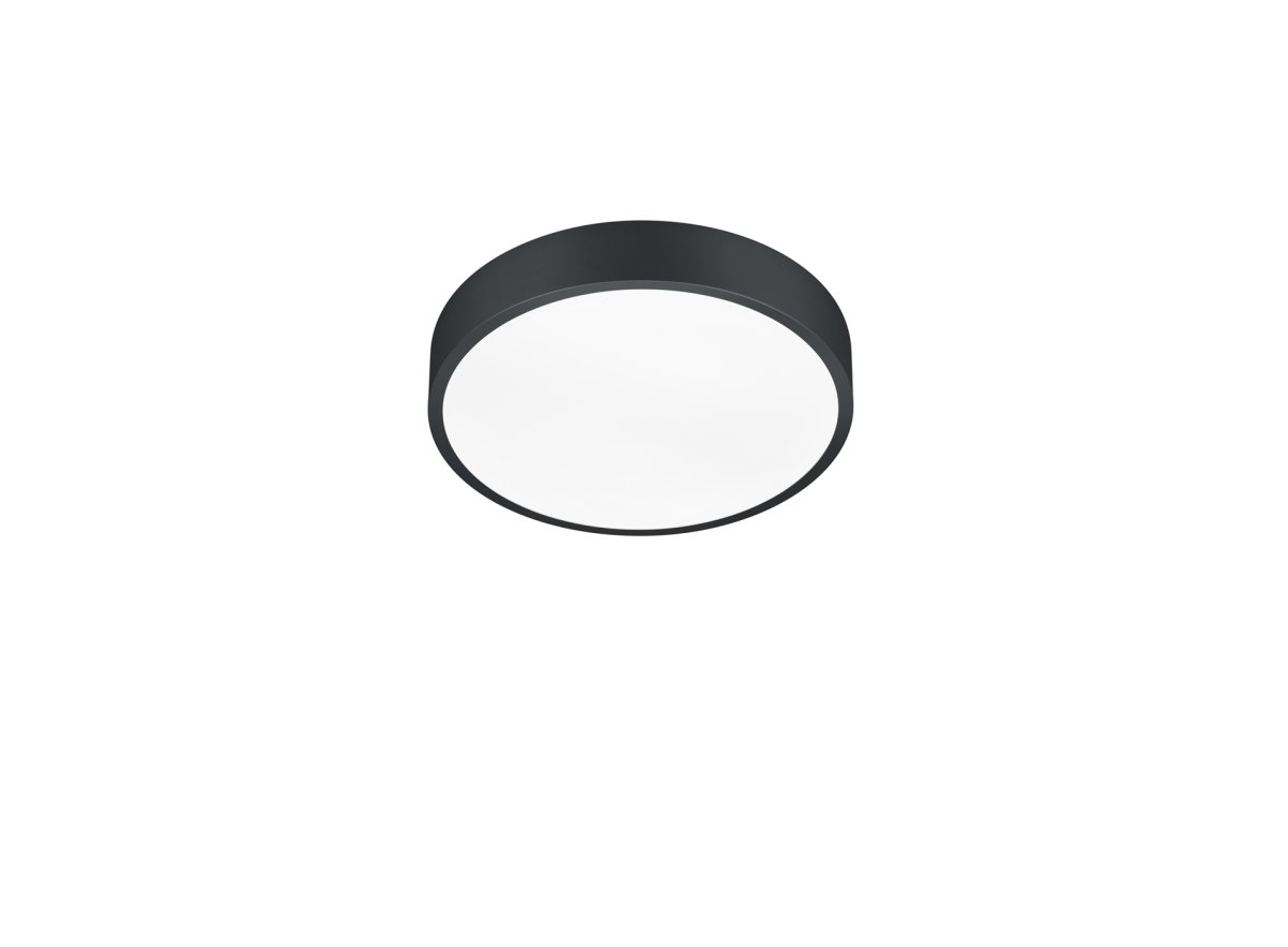 Waco Ø30 Sort plafond Fra Trio Lighting - 