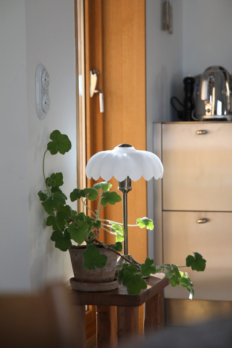 Kurage 43cm Antik messing/hvid bordlampe Fra Markslöjd - Bordlampe i klassisk stil med fod i antik messingfinish og dekorativ sk&aelig;rm i hvid opalglas.