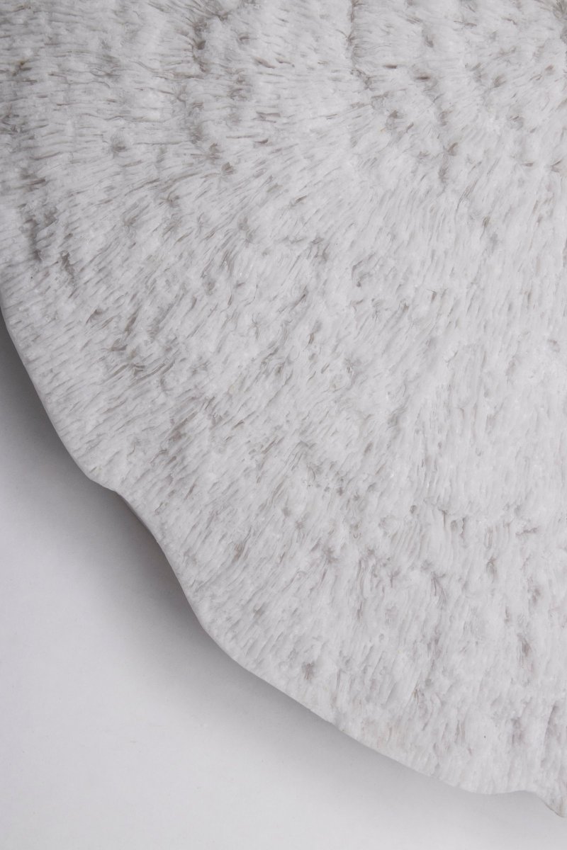 Nemo Hvid væglampe Fra Globen Lighting - Væglampe inspireret af naturen og smukke koralrev på bunden af havet.