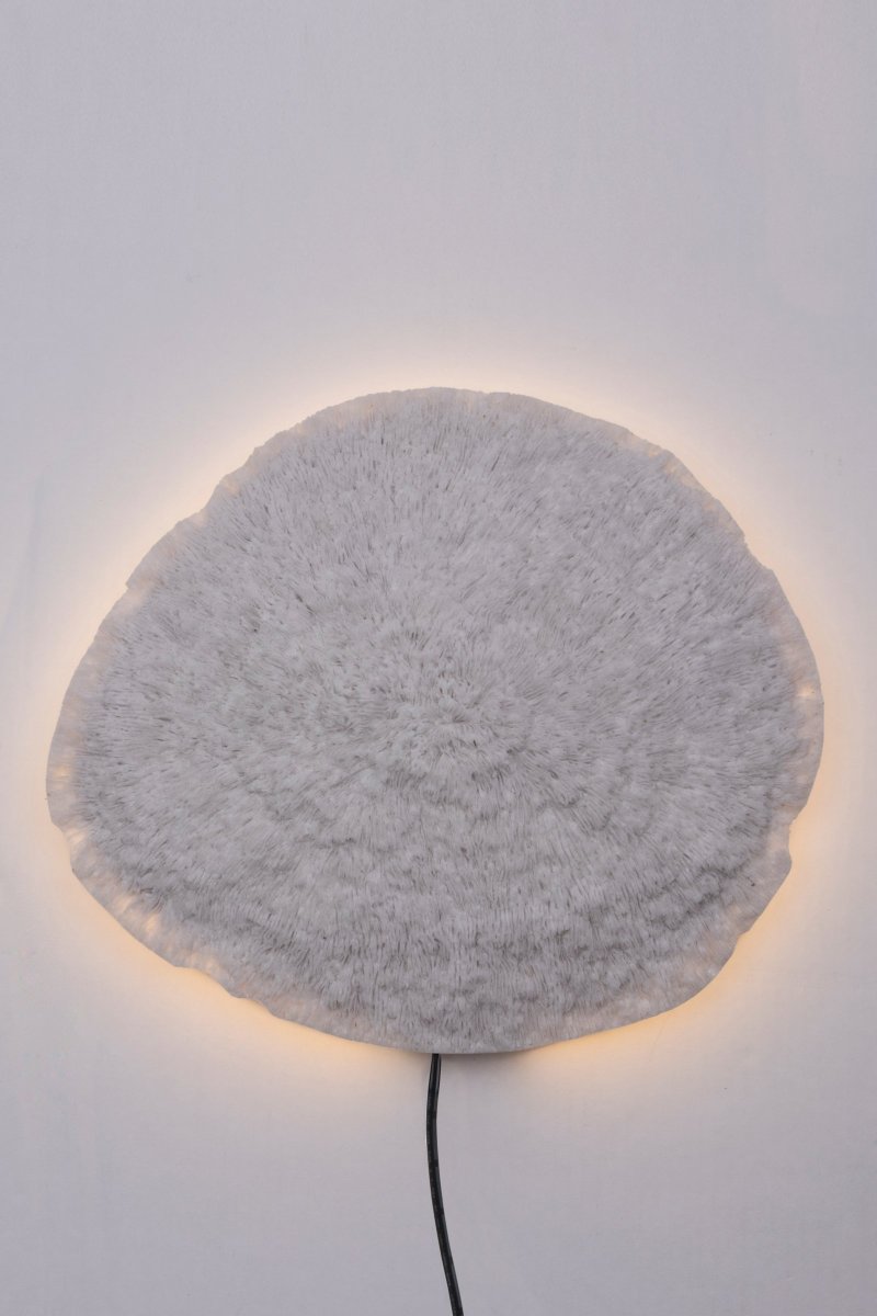 Nemo Hvid væglampe Fra Globen Lighting - Væglampe inspireret af naturen og smukke koralrev på bunden af havet.