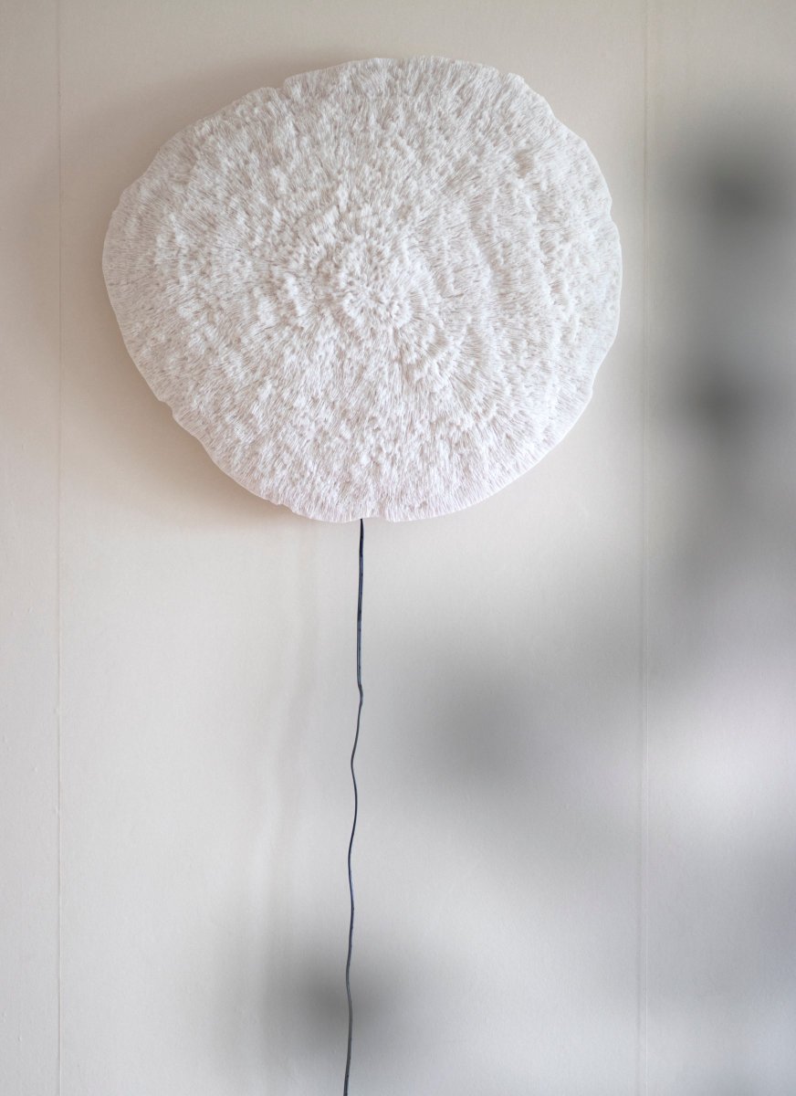 Nemo Hvid væglampe Fra Globen Lighting - Væglampe inspireret af naturen og smukke koralrev på bunden af havet.