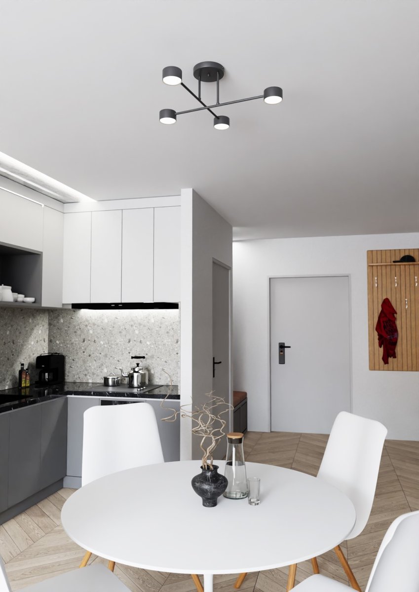 Halo Ø60 Sort plafond Fra Emibig Lighting - Halo - Denne enestående belysning har et moderne og minimalistisk design.