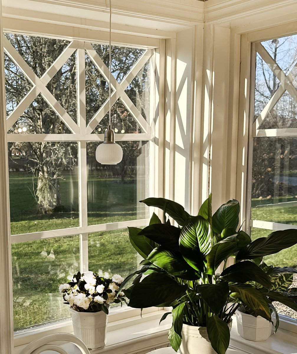 Elin Ø10 Stål vindueslampe Fra Aneta Lighting - Ledningen er 4 meter med en mellemafbryder og slutter med et stik.