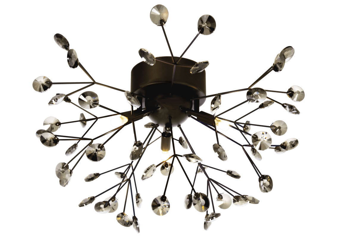 Viva Ø57 Sort plafond Fra Aneta Lighting - 