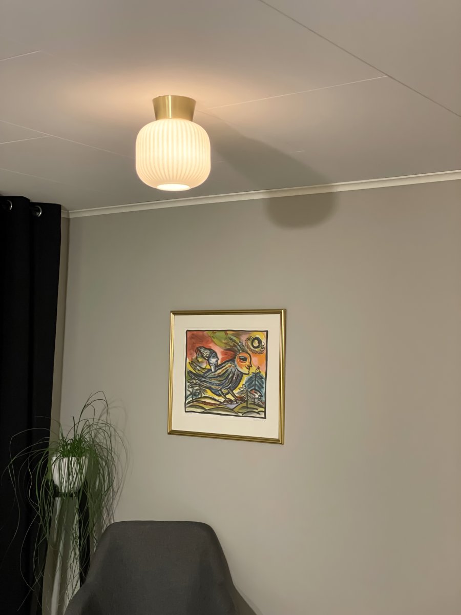 Vanja Ø20 Messing/Hvid plafond Fra Aneta Lighting - VANJA lille stilfuld loftslampe med riflet hvidt glas.
