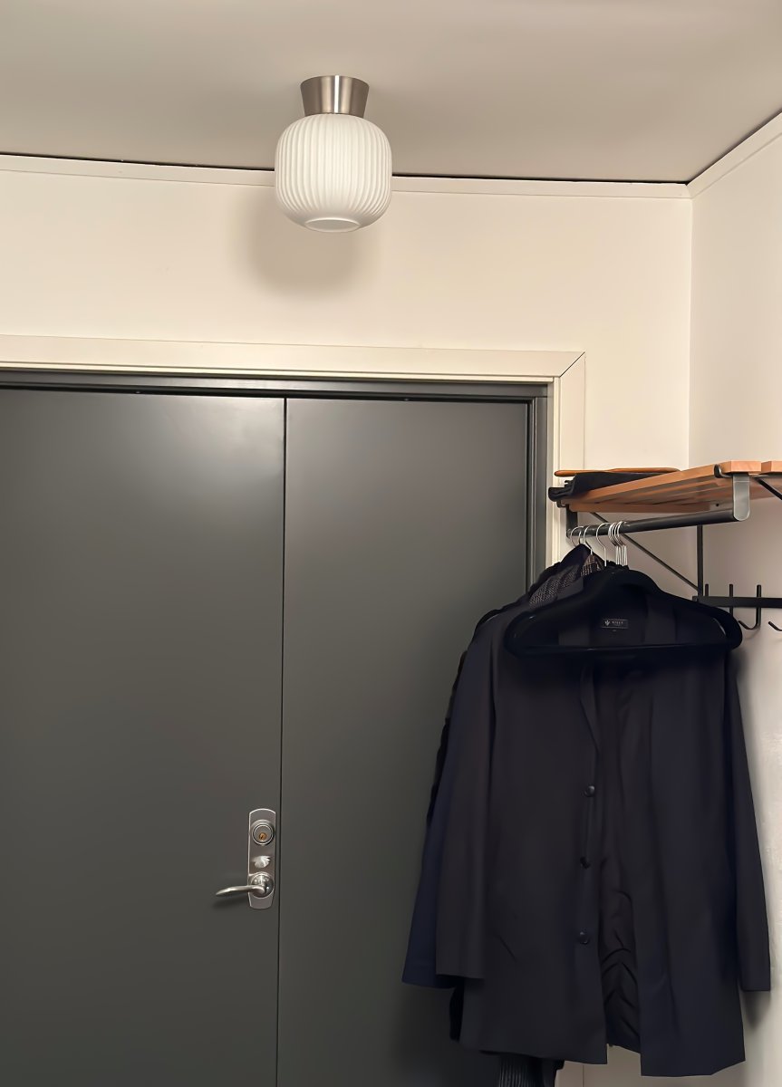 Vanja Ø20 Stål/Hvid plafond Fra Aneta Lighting - Vanja plafond er en lille og stilfuld loftslampe, der passer perfekt i mindre rum som gange, køkkener eller soveværelser.