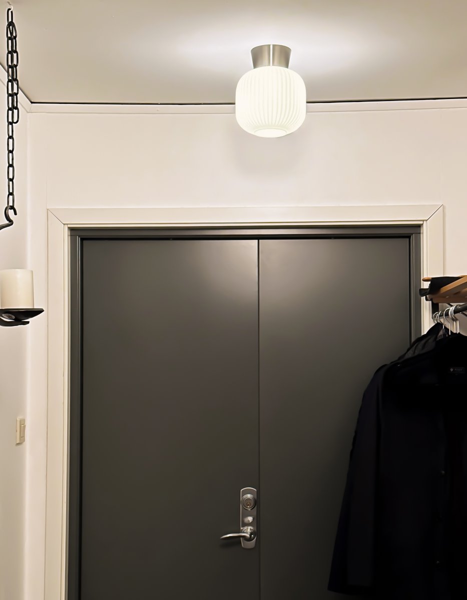 Vanja Ø20 Stål/Hvid plafond Fra Aneta Lighting - Vanja plafond er en lille og stilfuld loftslampe, der passer perfekt i mindre rum som gange, køkkener eller soveværelser.