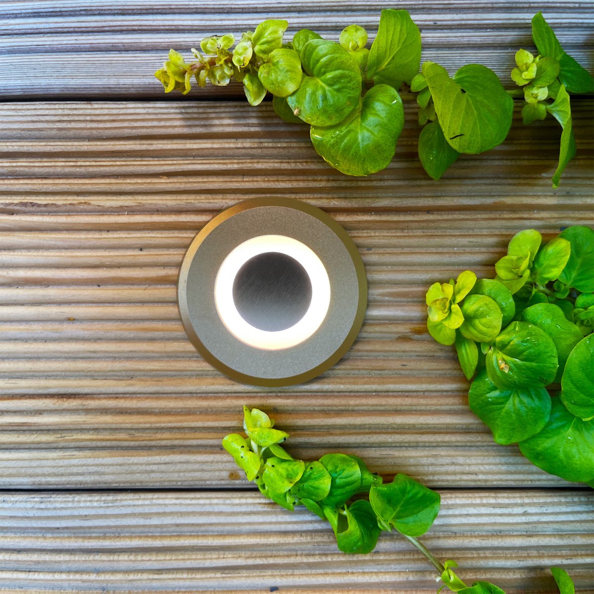 Lynx Bronze Fra Lightson - Den bronzefarvede Lynx er smuk i alle milj&oslash;er og m&aring;ske lidt ekstra spektakul&aelig;r, hvis du har Corten-st&aring;ldetaljer i din have.