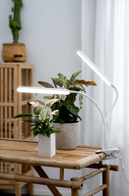 Plantebelysning Tulip Hvid Fra Airam - Armaturet har en 3-trins timer (8/12/16 timer) og touch-d&aelig;mper p&aring; de 5 trin.