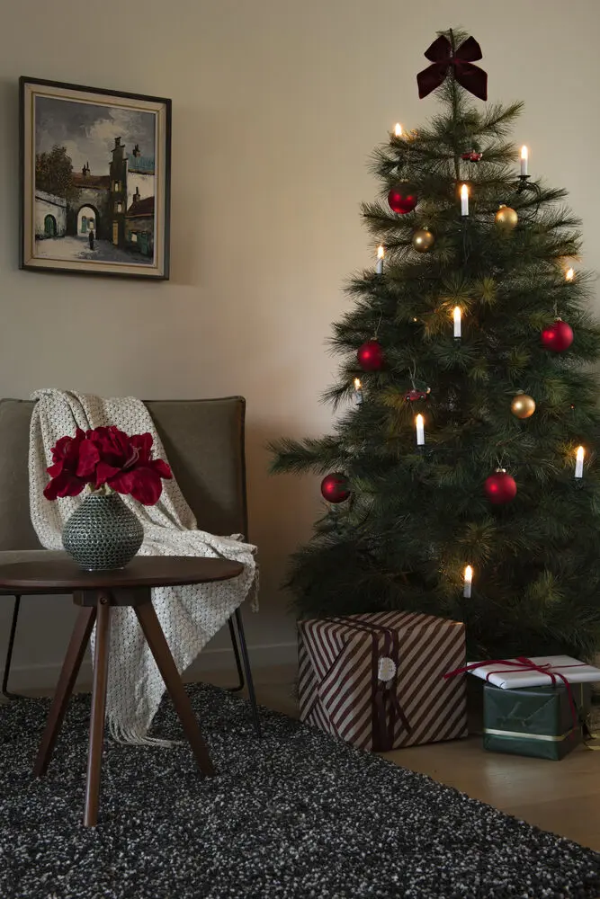 Juletræslys Varmhvid 25LED 18m Grøn Fra Konstsmide - Klassisk juletr&aelig;sbelysning til indend&oslash;rs brug med 25 varmhvide LED-lys, der giver et bl&oslash;dt og atmosf&aelig;risk sk&aelig;r.