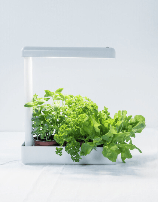 Plantebelysning Herby Hvid Fra Airam - Det er ikke meningen at komme jord og vand i Herbys t&oslash;nde, men hvis der drypper vandingsvand ned i beholderen fra gryderne, kan det overskydende vand let dr&aelig;nes fra bunden, og beholderen kan vaskes.