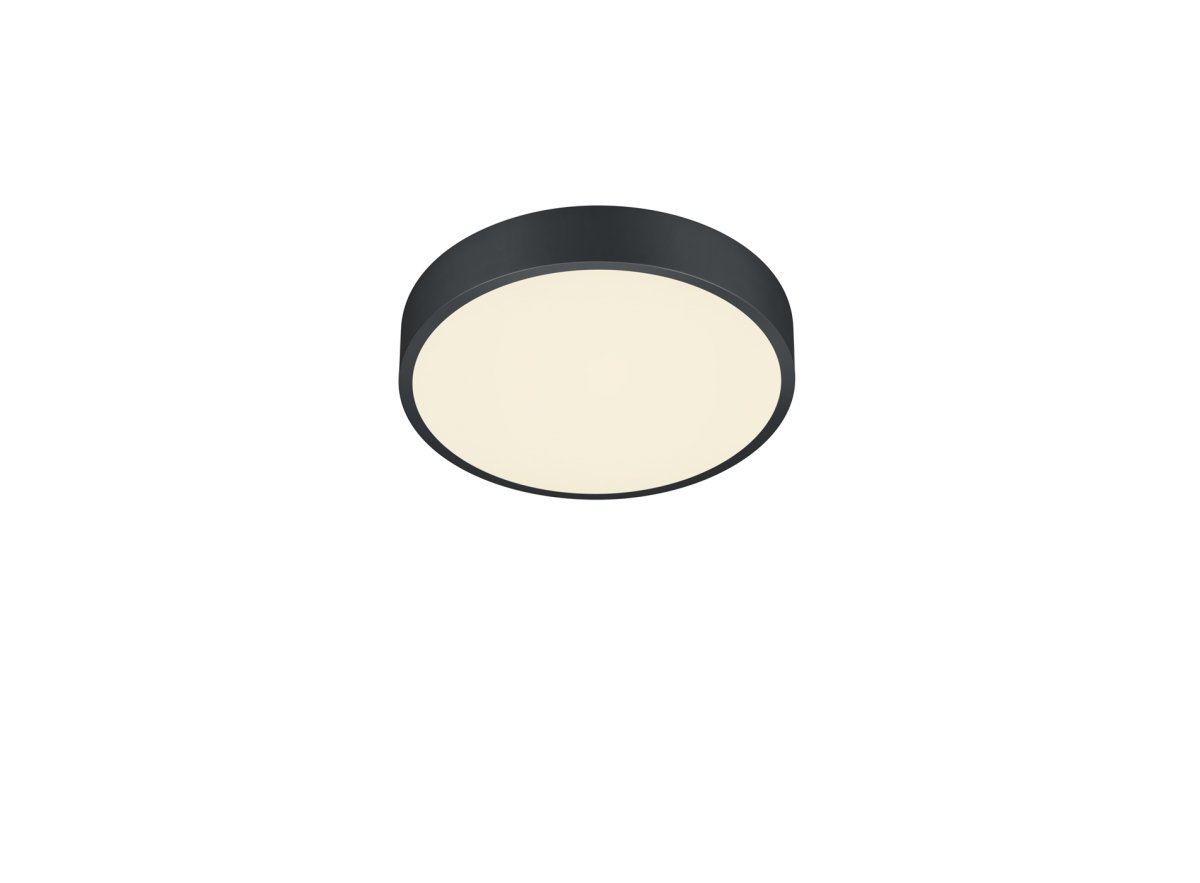 Waco Ø30 Sort plafond Fra Trio Lighting - 