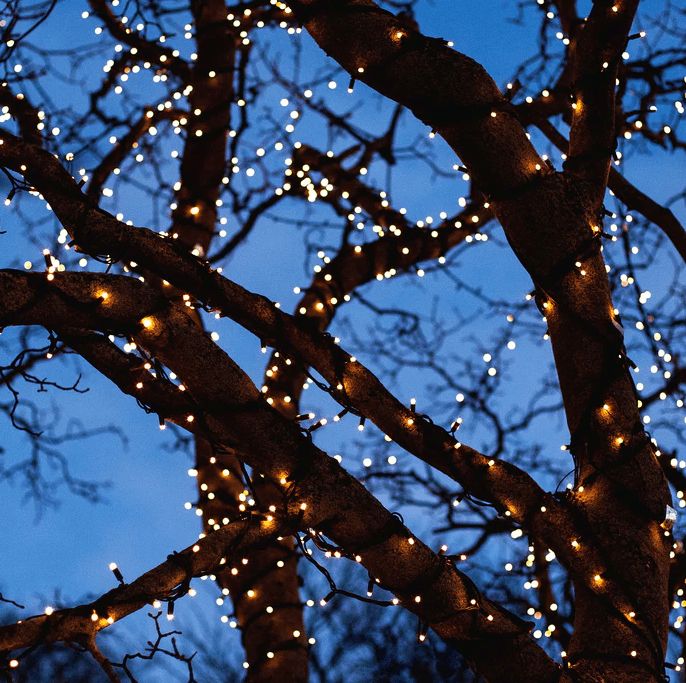 Twinky 10m Sort Fra Lightson - Twinky 10m er en dekorativ lysk&aelig;de, der spreder et varmt hvidt og atmosf&aelig;risk lys fra 100 sm&aring; lyspunkter, der er j&aelig;vnt fordelt over 10 meter kabel.