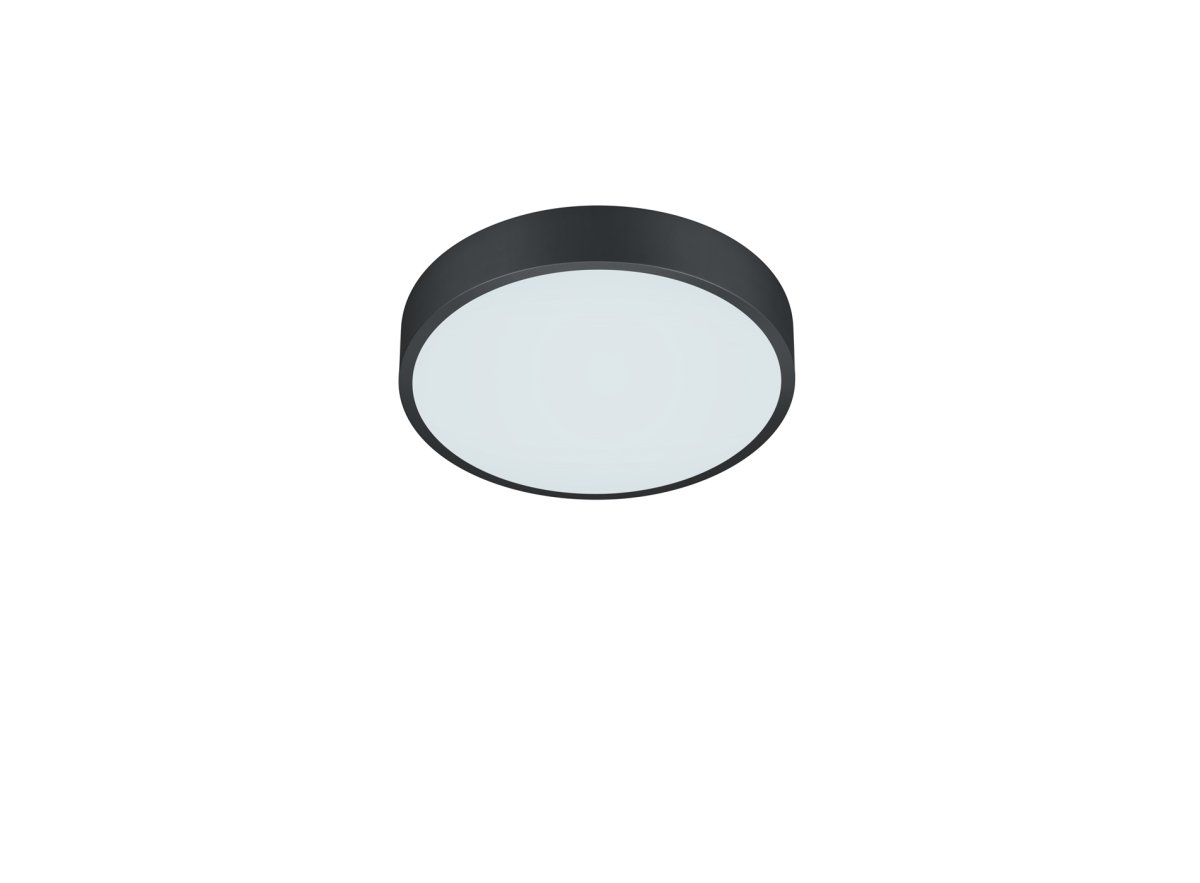 Waco Ø30 Sort plafond Fra Trio Lighting - 
