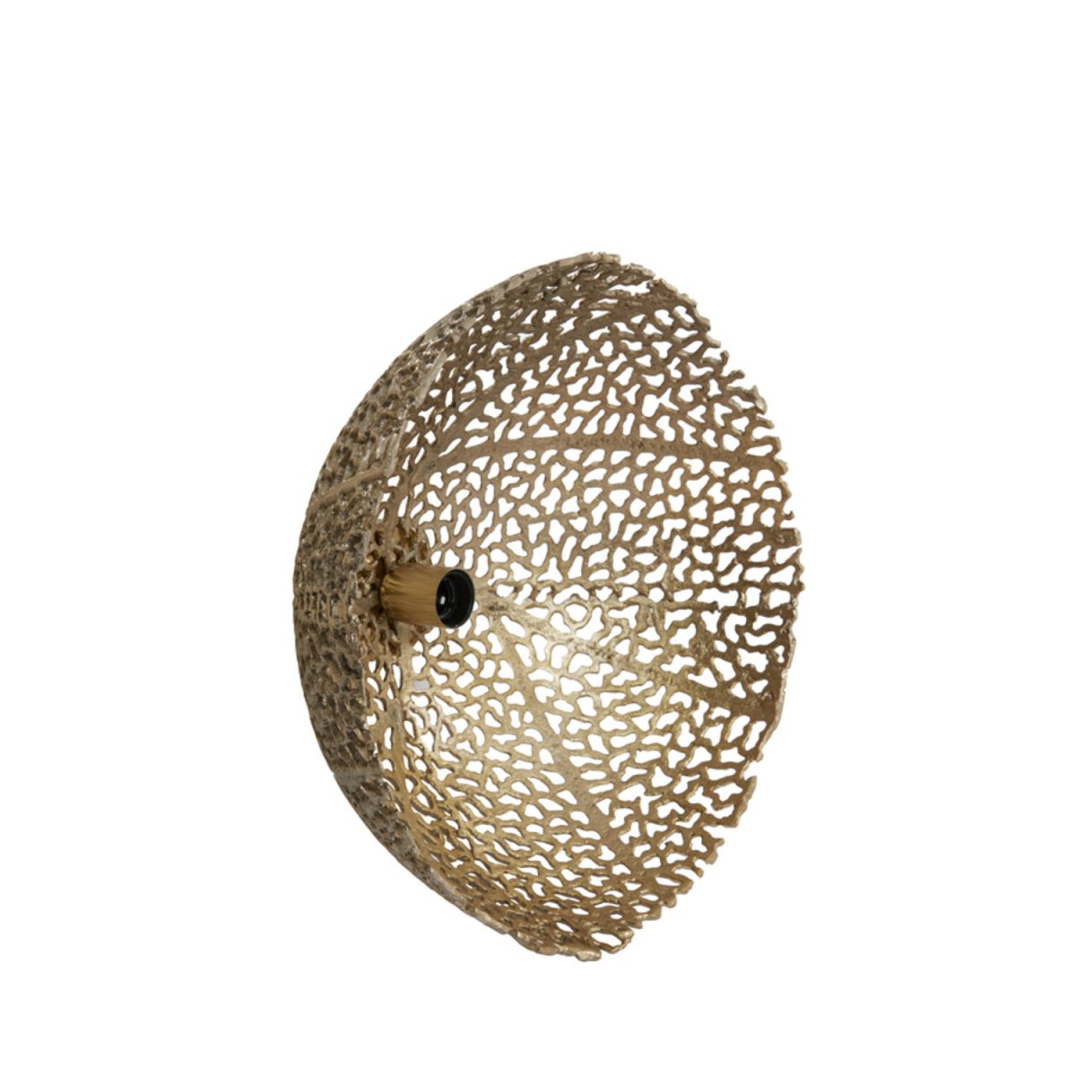 Sinula Ø45 Guld væglampe Fra Light & Living - 