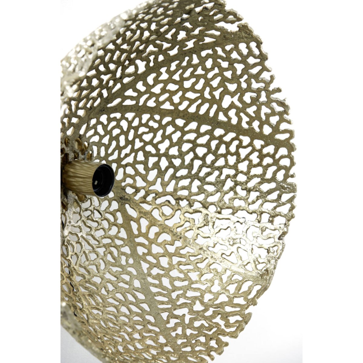 Sinula Ø45 Guld væglampe Fra Light & Living - 