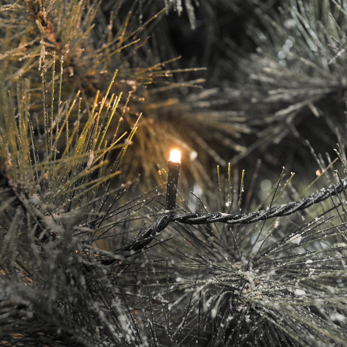 Lyskæde 200 LED amber 25m Grøn Fra Konstsmide - Denne lysk&aelig;de med 200 sm&aring; LED-lys spreder en varm og hyggelig gl&oslash;d med en farvetemperatur p&aring; cirka 2000 K.