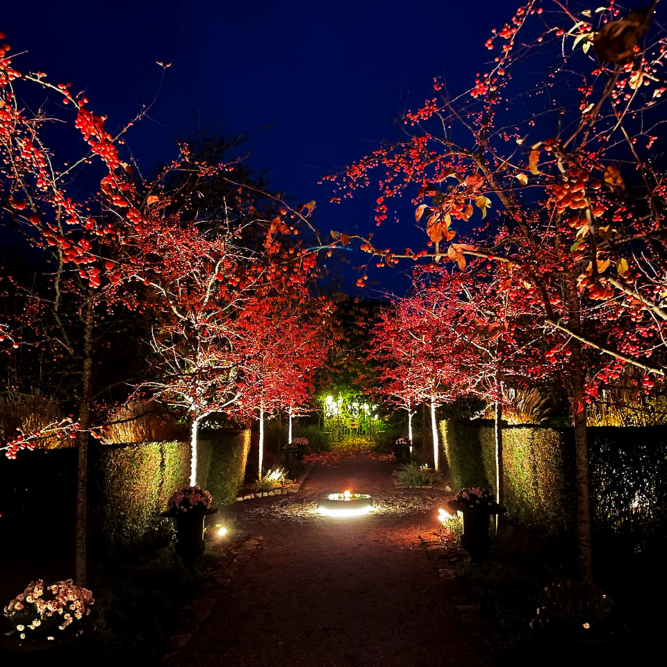 Arcus Sort Fra Lightson - Med 16 millioner farver at v&aelig;lge imellem; Mulighederne er uendelige for kombinerede individuelle tr&aelig;er og for den perfekte f&oslash;lelse til hverdag og fest i loungemilj&oslash;et.