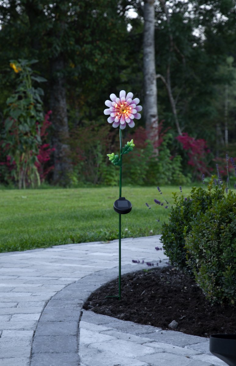 Daisy Lyserød solcellelampe Fra Star Trading - Den udskårne metalblomst er en smuk dekoration og er nem at placere i en beplantning i haven eller på et bord.