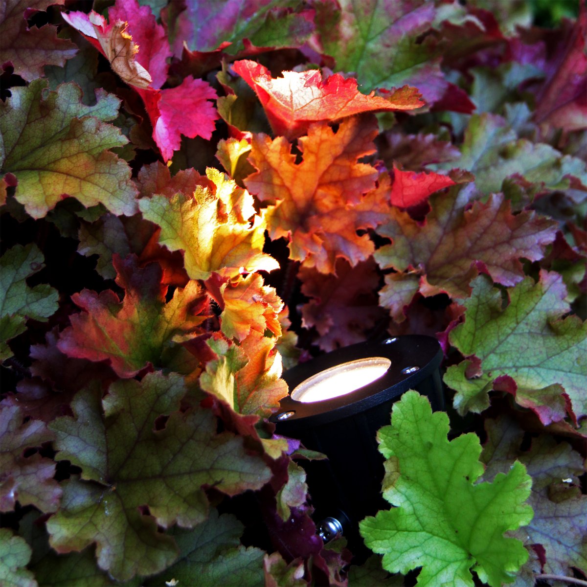 Luminus Sort Fra Lightson - Et fleksibelt og prisbilligt 12-volt system til din have, som du nemt selv installerer og senere kan bygge videre p&aring;, op til 50 meter, hvis du &oslash;nsker det.