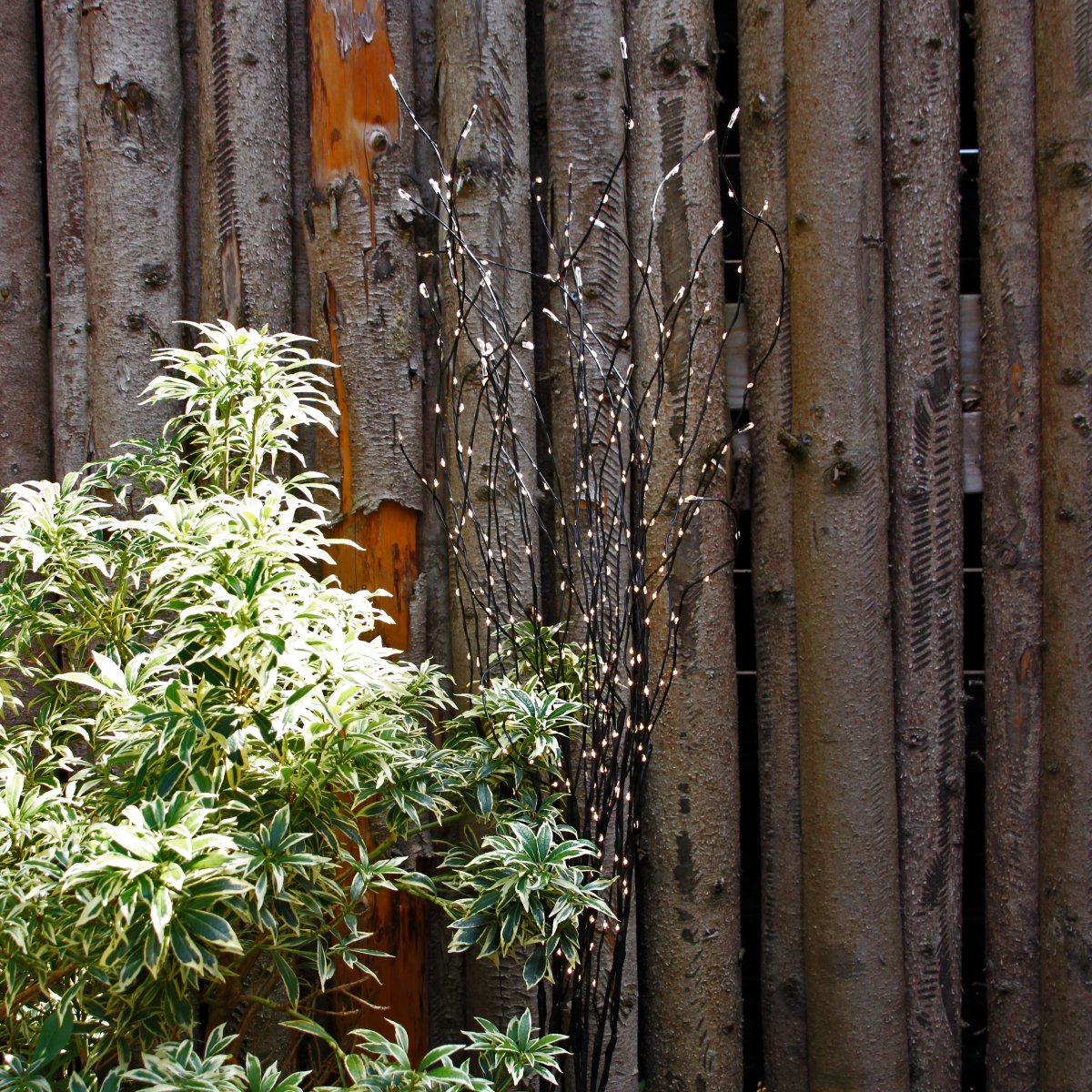 Twiggy Sort Fra Lightson - Det giver st&oslash;rre fleksibilitet, hvis du fx &oslash;nsker dem i et blomsterbed eller m&aring;ske i en krukke p&aring; hver side af indgangsd&oslash;ren.