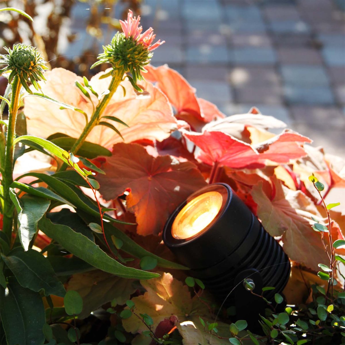 Arcus Sort Fra Lightson - Med 16 millioner farver at v&aelig;lge imellem; Mulighederne er uendelige for kombinerede individuelle tr&aelig;er og for den perfekte f&oslash;lelse til hverdag og fest i loungemilj&oslash;et.