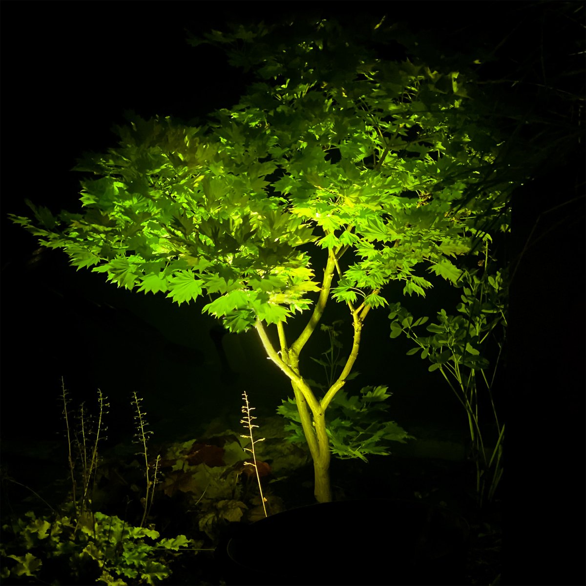 Arcus Sort Fra Lightson - Med 16 millioner farver at v&aelig;lge imellem; Mulighederne er uendelige for kombinerede individuelle tr&aelig;er og for den perfekte f&oslash;lelse til hverdag og fest i loungemilj&oslash;et.