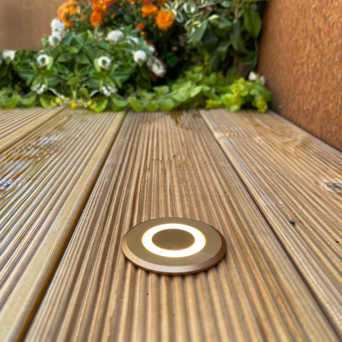 Lynx Bronze Fra Lightson - Den bronzefarvede Lynx er smuk i alle milj&oslash;er og m&aring;ske lidt ekstra spektakul&aelig;r, hvis du har Corten-st&aring;ldetaljer i din have.