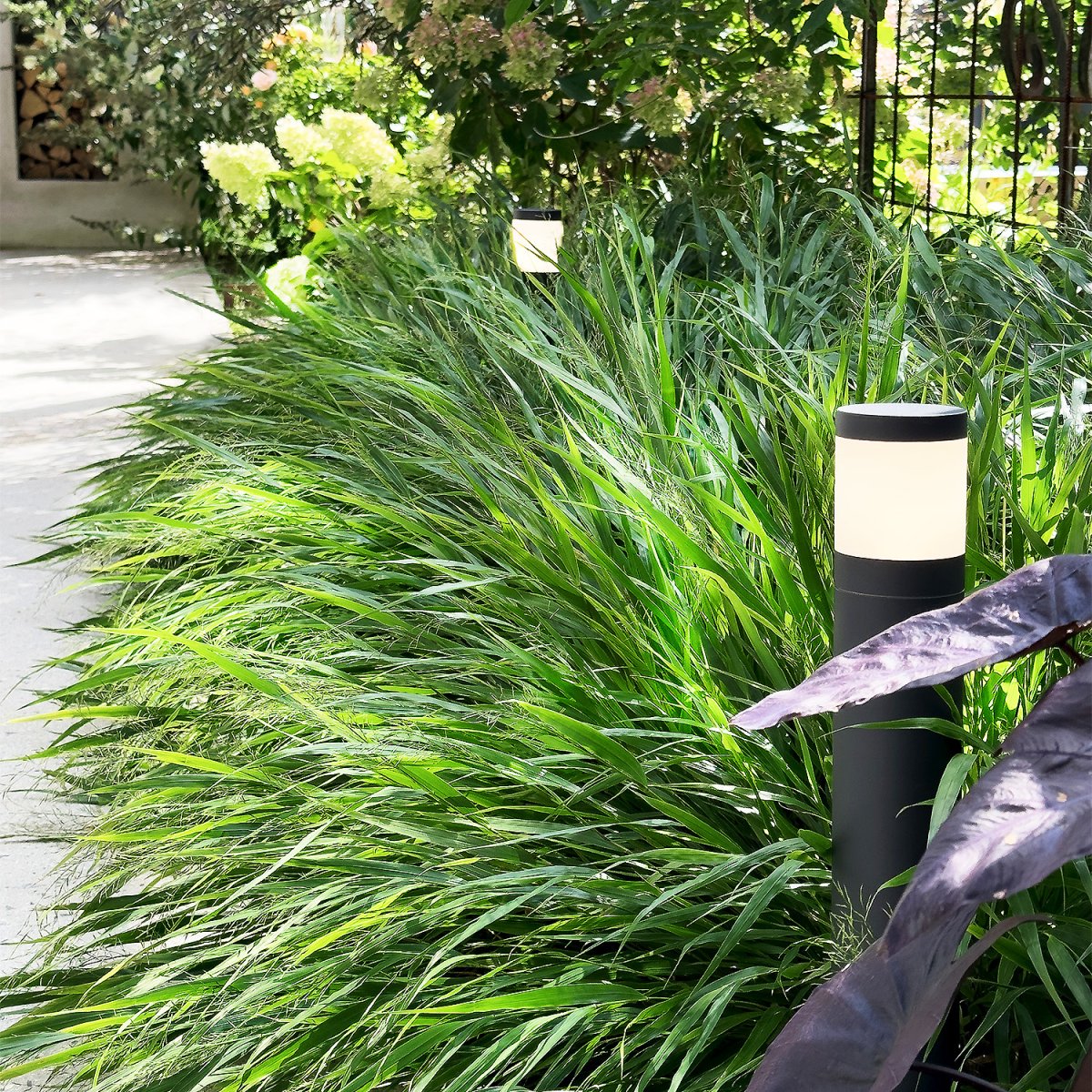 Polly Mørkegrå Fra Lightson - Pullerten Polly er en stilren pullert i aluminium, der kan bruges langs gange og indkørsler, samt som markeringslys ved fx gange og porte.