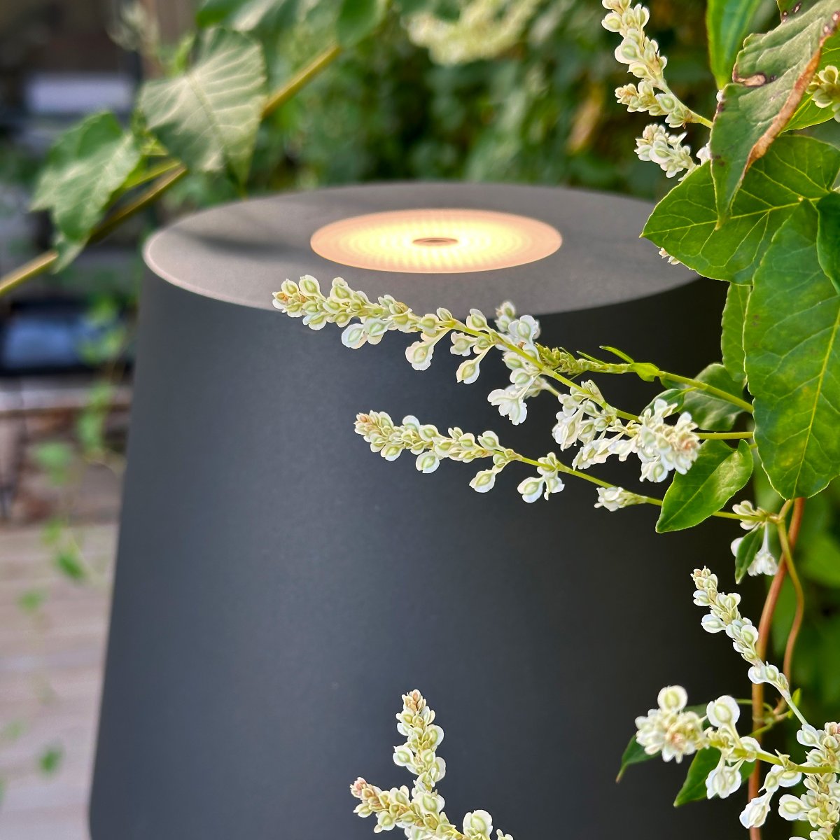 Sofy Mørkegrå Fra Lightson - Sofy er en stilfuld gulvlampe i m&oslash;rkegr&aring; aluminium, specielt designet til at skabe en hyggelig og hyggelig atmosf&aelig;re i dine udend&oslash;rsmilj&oslash;er.