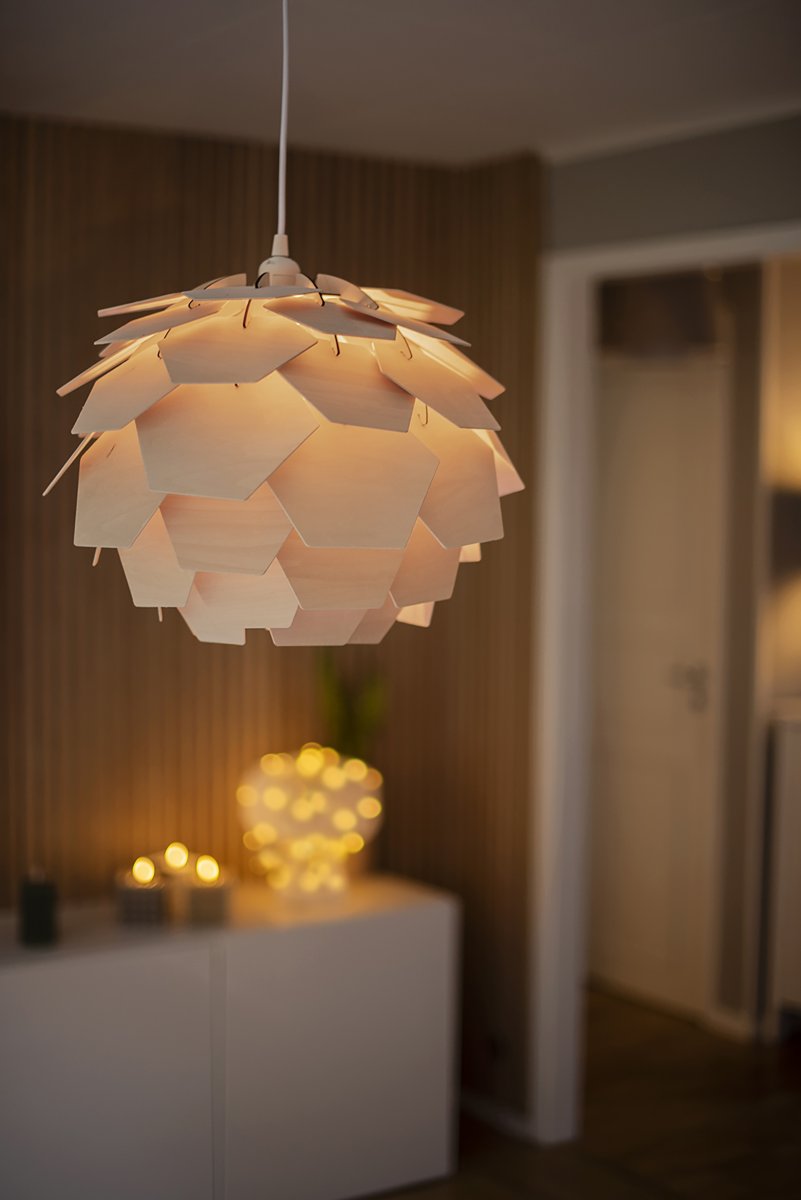 Carpatica Ø40 Natur loftslampe Fra Aneta Lighting - Loftskålen er i hvid plast til krogophæng og med klemrække.