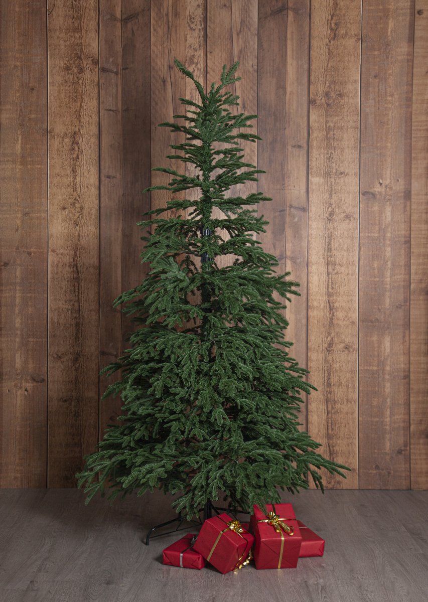 Edane 210cm Grøn Fra Star Trading - Edane er et naturtro kunstigt tr&aelig; med en h&oslash;jde p&aring; 210 cm og let lavth&aelig;ngende grene i en dyb gr&oslash;n farve.
