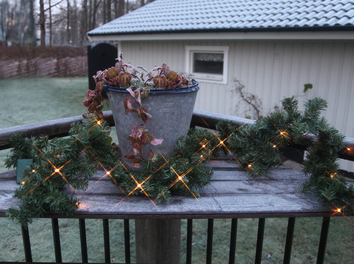 Canadian 250cm Grøn Fra Star Trading - Batteridrevet guirlande med 30 LED-lys.