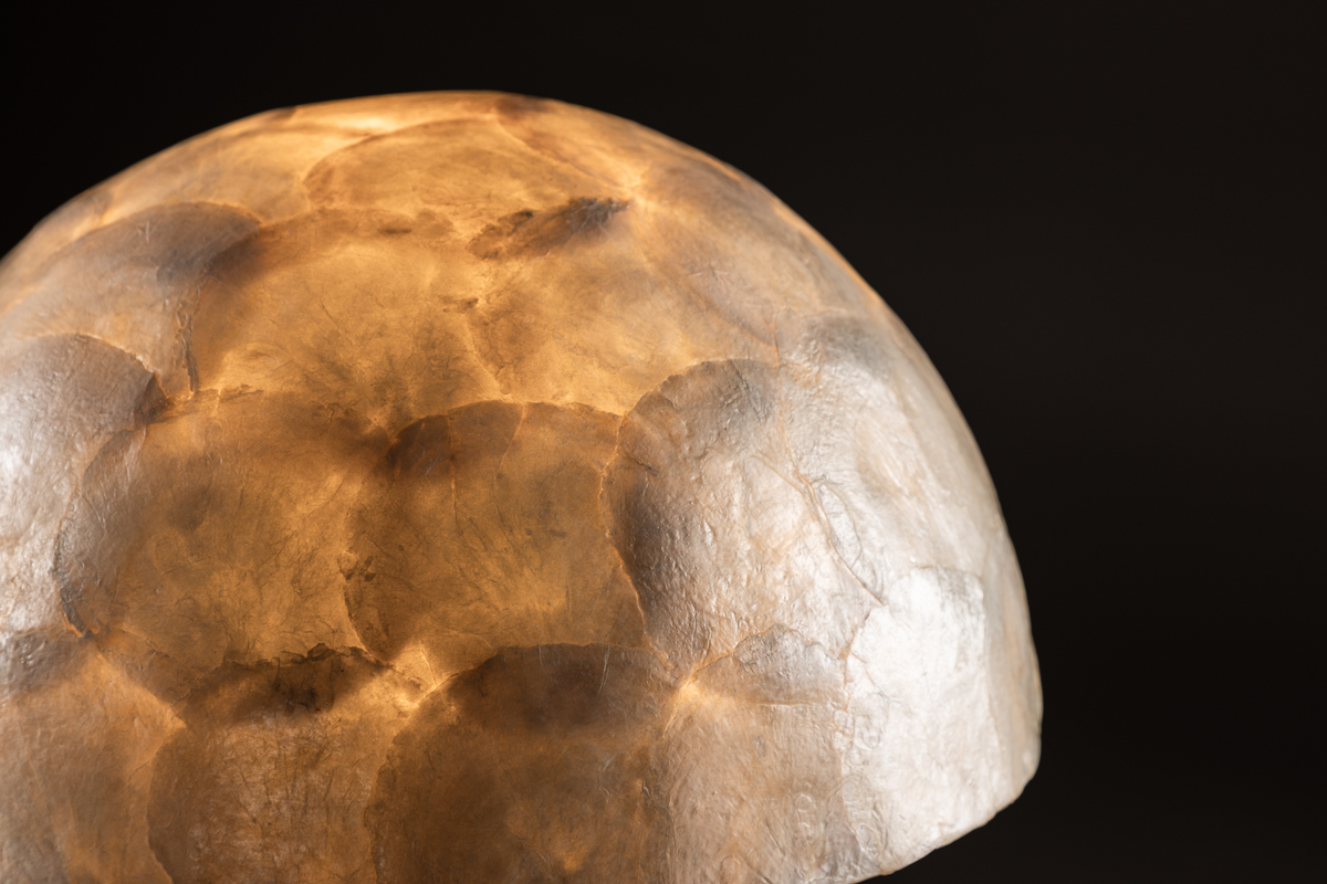 Lindön 48cm Beige bordlampe Fra Venture Design - Placer den p&aring; et sidebord eller en byr&aring; og lad Lind&ouml;n tilf&oslash;je et moderne og elegant touch til din indretning.