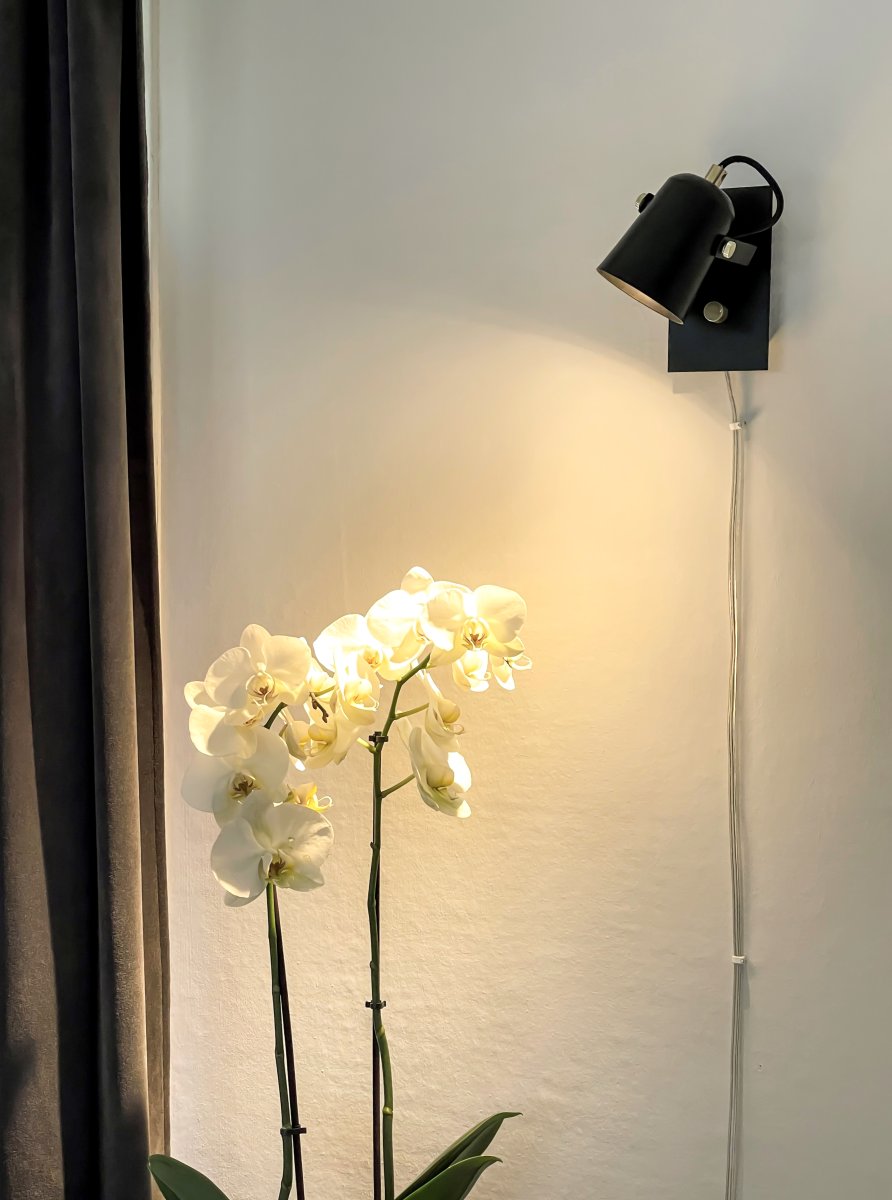 Metz Sort læselampe Fra Aneta Lighting - Sort med messingdetaljer og med sin stilrene form giver den et klassisk indtryk i moderne vintage.